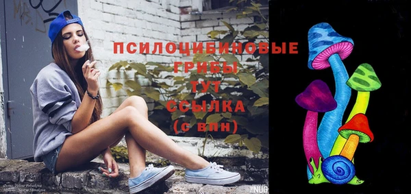 прущая мука Арсеньев
