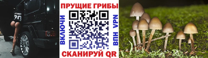 Галлюциногенные грибы мухоморы  Олонец 